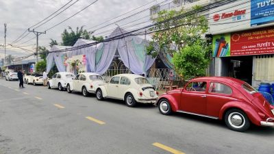 Xe Hoa Bọ Cổ Mui Trần 